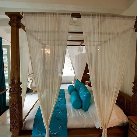 Aguamarina Boutique (adults Only)