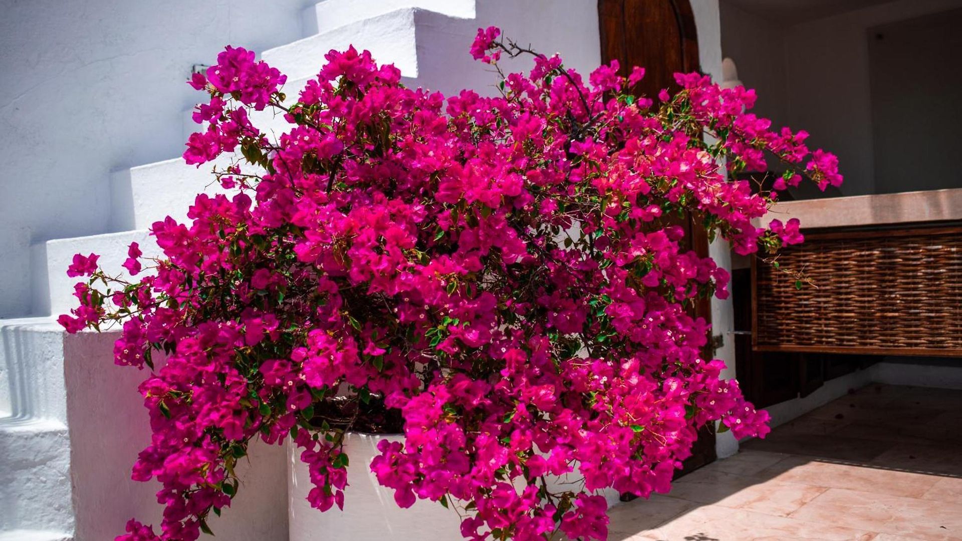Aguamarina Boutique (adults Only) 5* Cartagena