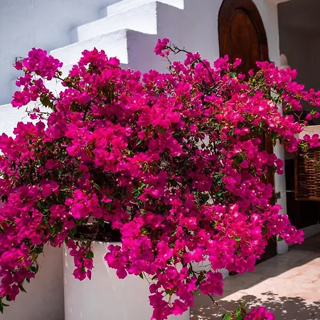 Aguamarina Boutique (adults Only) 5* Cartagena