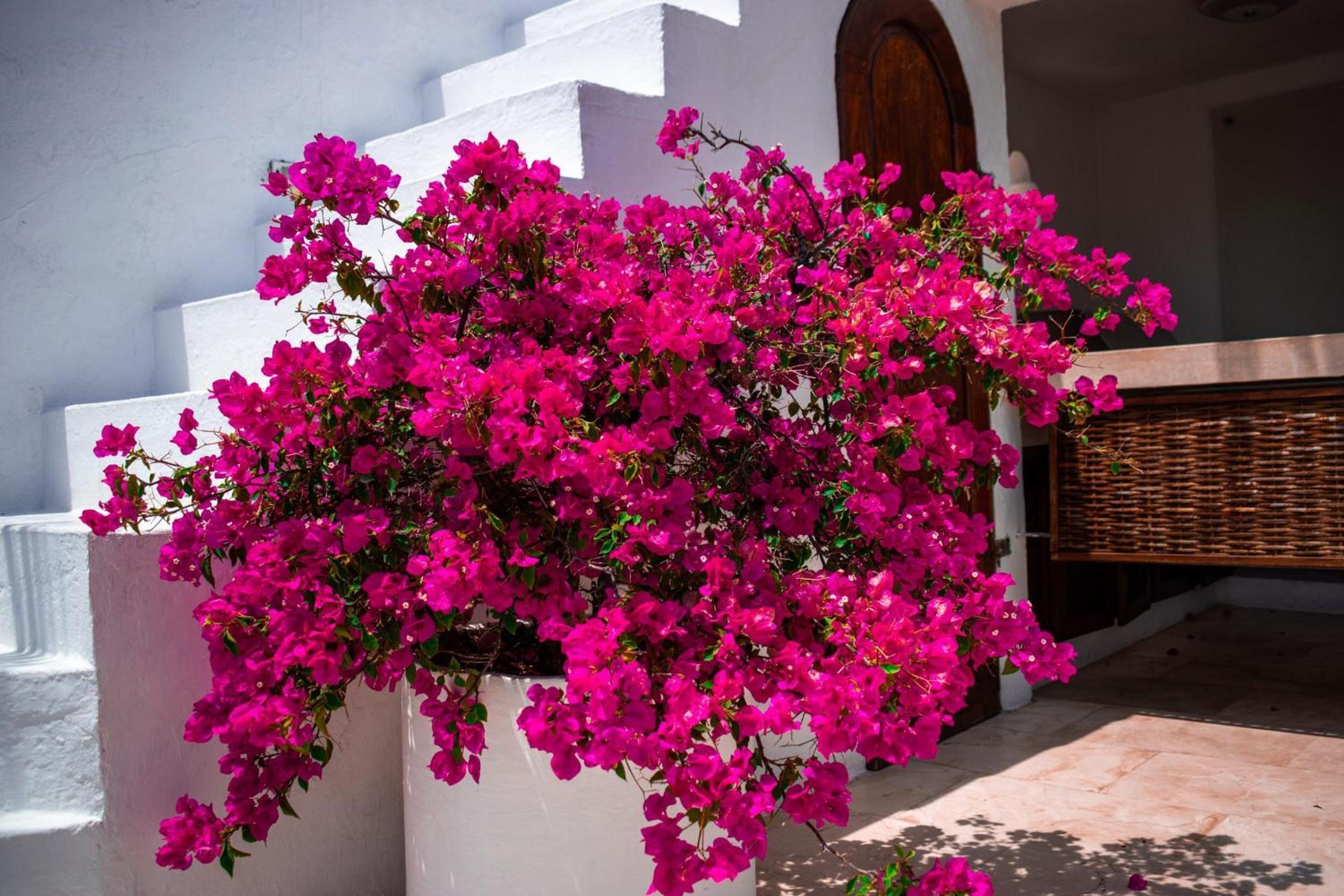 Aguamarina Boutique (adults Only) 5* Cartagena